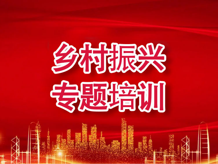 乡村振兴专题培训