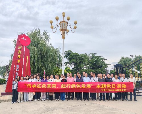 传承红色基因，走好新时代共同富裕之路：周家庄主题党日活动侧记