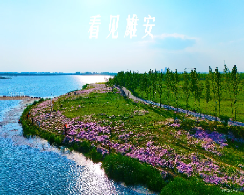 eb140af6-c294-41b0-a203-2bdeb8c286ad.png