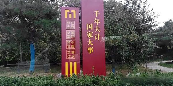 雄安